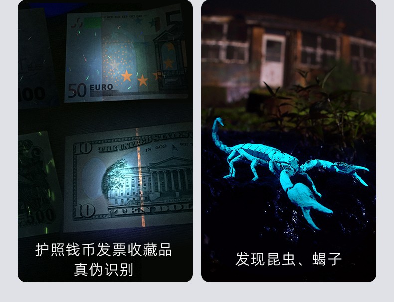 1745979887348598.jpg 手電筒廠家