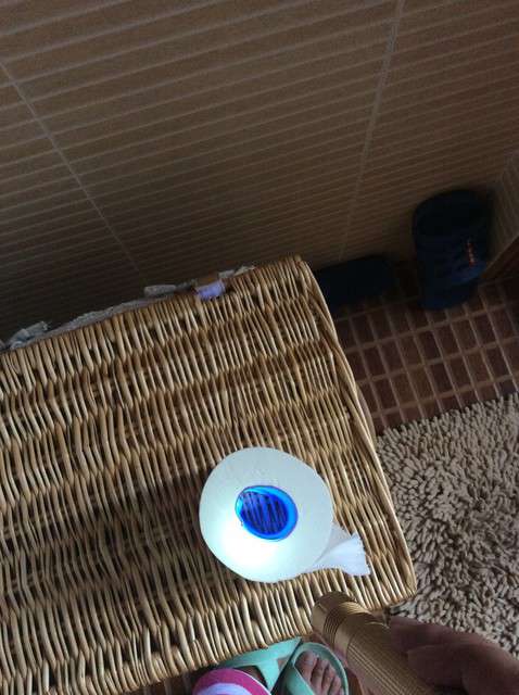  寶媽買了紫光手電，衣服上好多熒光劑，看的心慌害怕